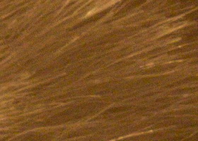 Sony Alpha SLT-A35: úspěšně proti zrcadlovkám