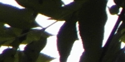 Samsung WB850F: fotící bezdrátová navigace?