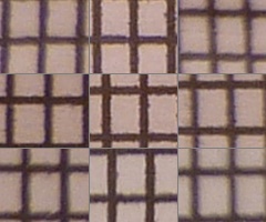 Panasonic Lumix TZ10: kapesní dělo