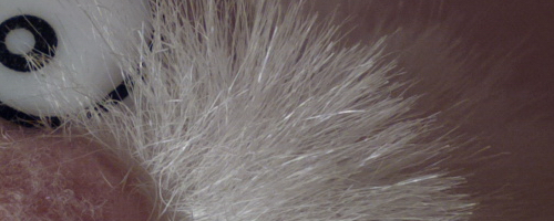 Nokia 808 PureView: mobilní zrcadlovkobijec