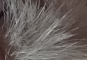 Sony Cyber-shot WX220: ostře nabitý drobek