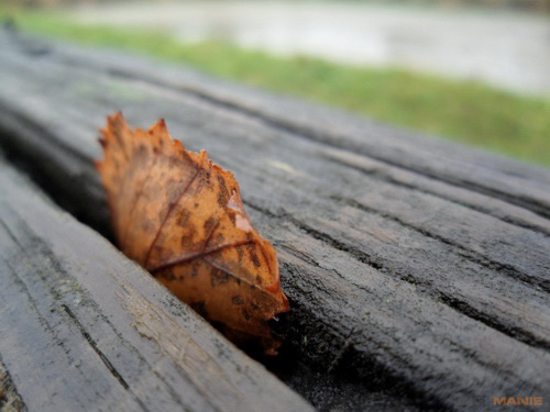 Samsung ST550: jedno LCD nestačí