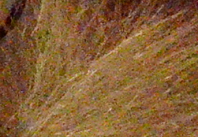 Nikon Coolpix A: velmi příjemná (ne)výraznost