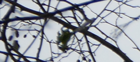 Panasonic Lumix FZ1000: legenda je zpátky