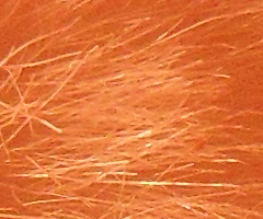 Samsung IT100: kompakt a kamera v jednom