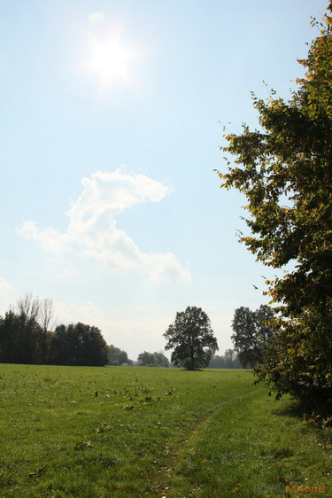 Canon EOS 550D: třídní premiant