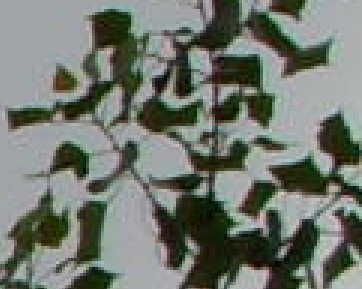 Retro krasavec Samsung Digimax L85