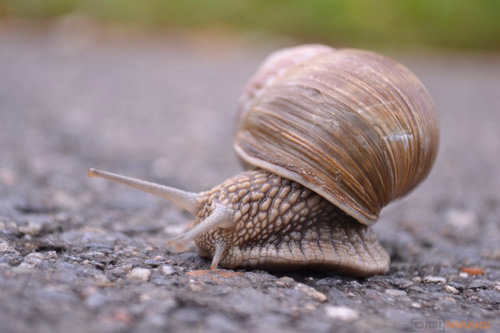 Nikon D3100: základ nabídky DSLR