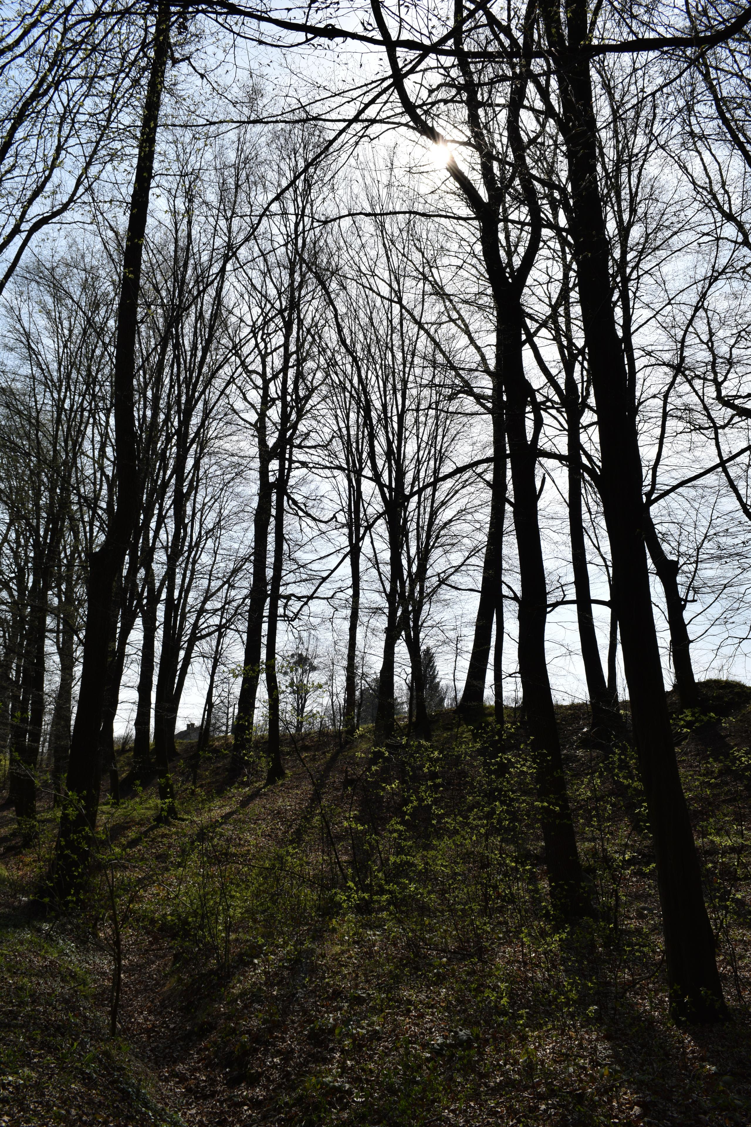 Nikon D5300: bezdrátový DSLR turista