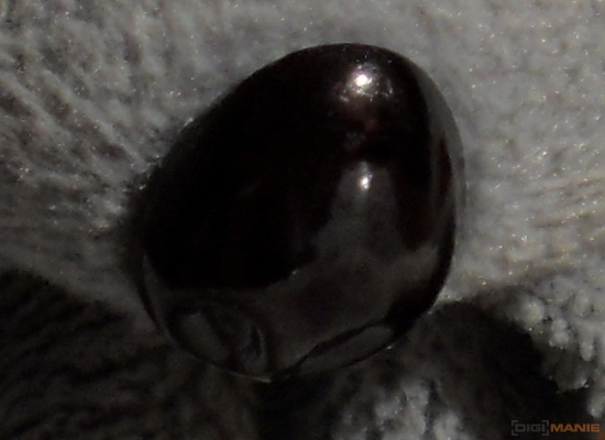 Fotíme s Koalou: Rozlišení a megapixely!