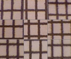 Panasonic Lumix TZ10: kapesní dělo