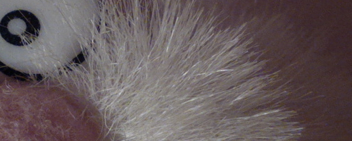 Nokia 808 PureView: mobilní zrcadlovkobijec