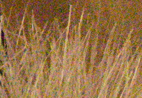 Sony NEX-7: správná (r)evoluce