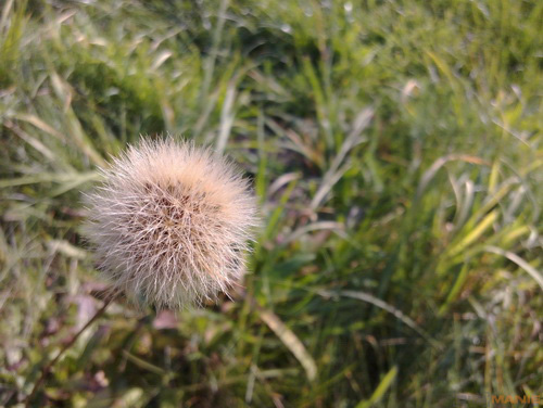 Nokia N9: nástupce fotomobilové legendy?