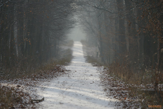 Sony SAL-70400G (70-400mm F4-5,6 SSM G)