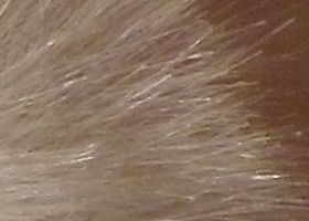 Samsung PL210: levně s grácií