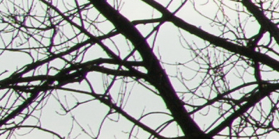 Sony SAL-70400G (70-400mm F4-5,6 SSM G)