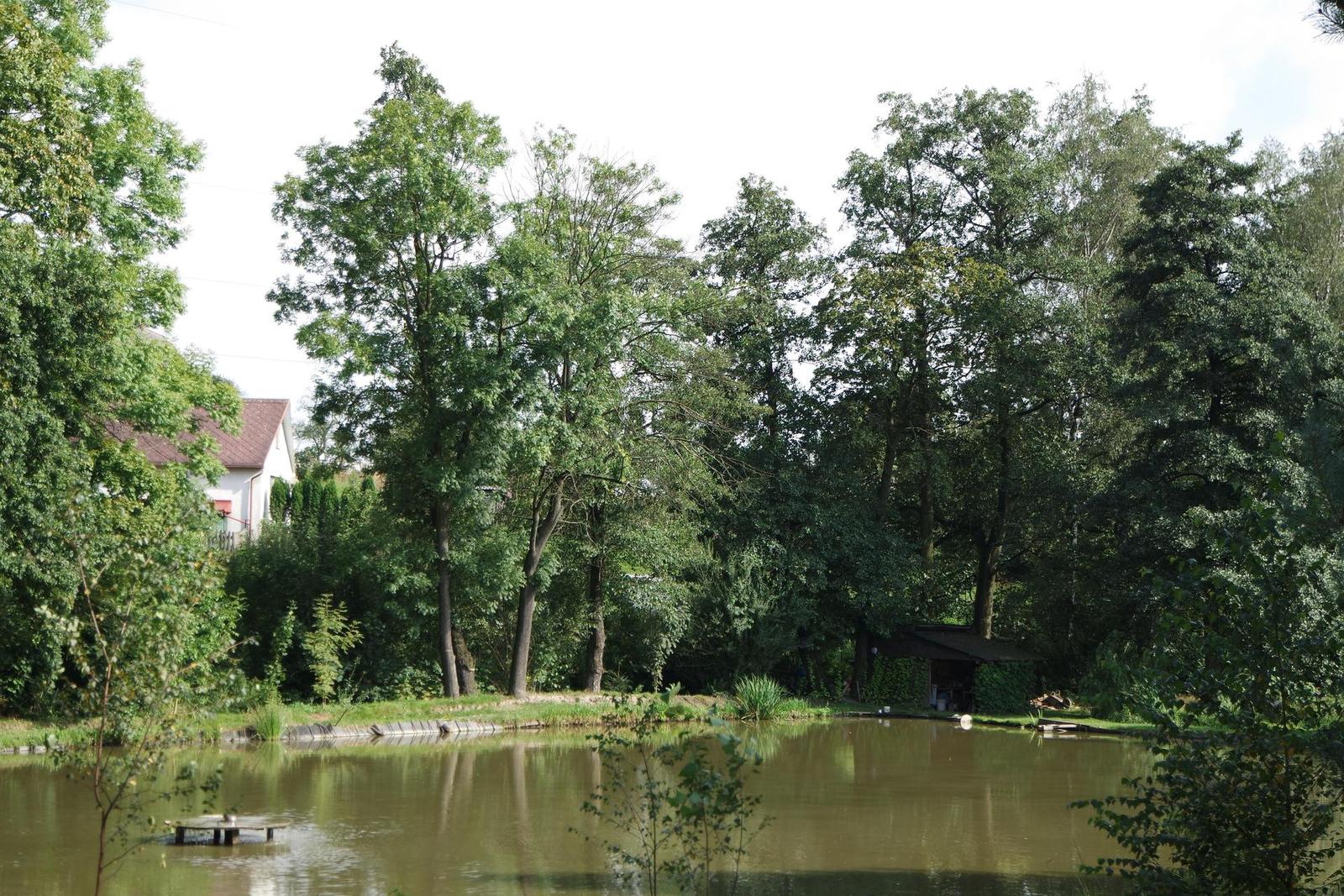 Samsung 16-50mm 1:3.5-5.6 ED OIS Power Zoom