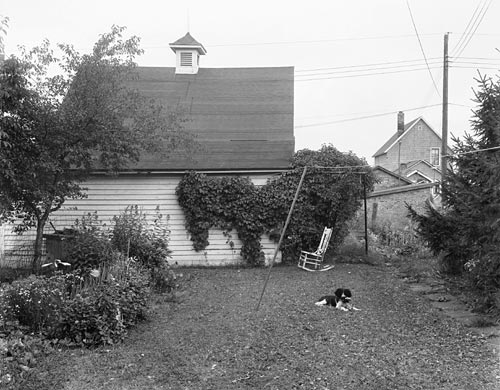 Konec velkého fotografa