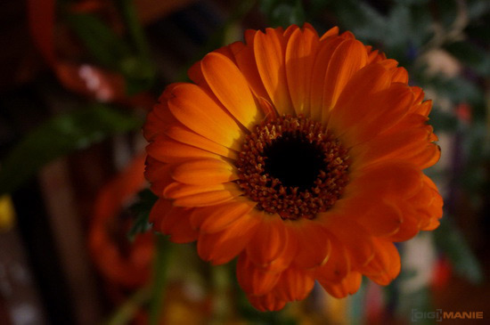 Sony NEX-6: pan dlouho očekávaný