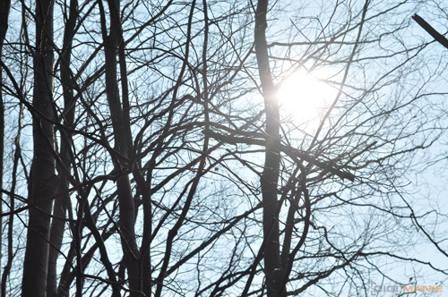 Dva objektivy nebo jeden ultrazoom?