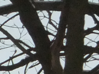 Fujifilm FinePix F300EXR: klame tělem