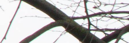 Canon PowerShot G1 X Mark II: významné zlepšení