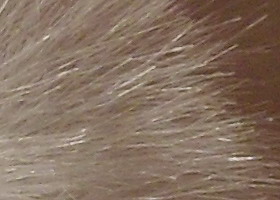 Samsung PL210: levně s grácií