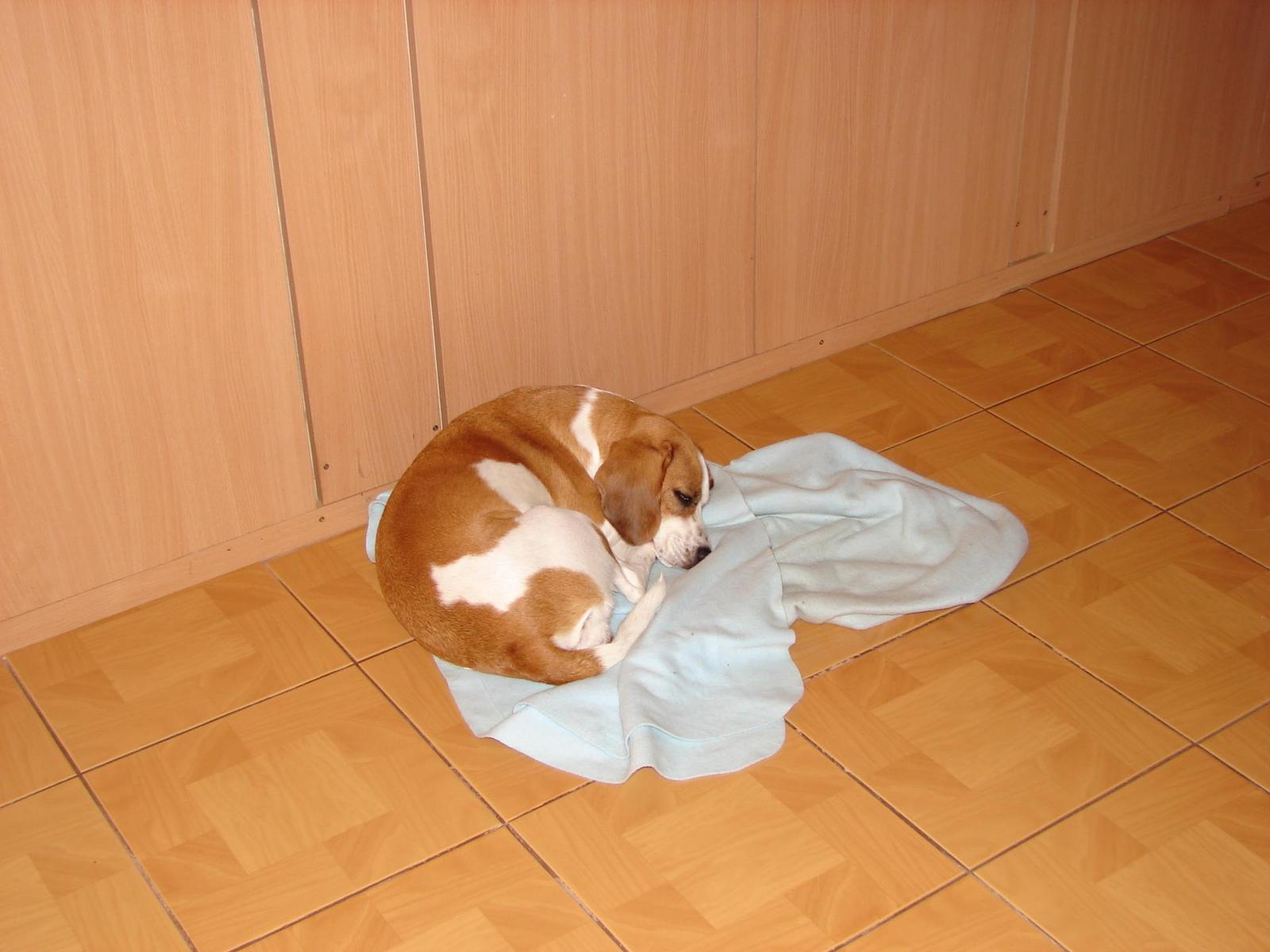 Cyber-shot DSC-H1: stabilizovaný ultrazoom má i Sony