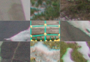 Nikon AF-P NIKKOR 18-55mm f/3.5-5.6G VR