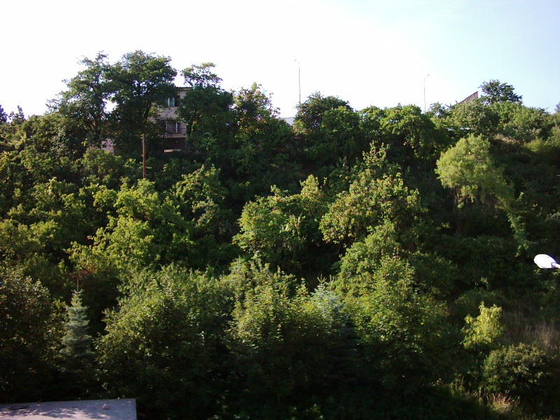 DiGICAM VQ2220: Jednoduchý foťák za nízkou cenu