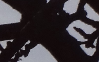 Sony Cyber-shot WX7: překoná skvělou WX5?