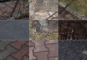 Panasonic Lumix S 50mm F1.8