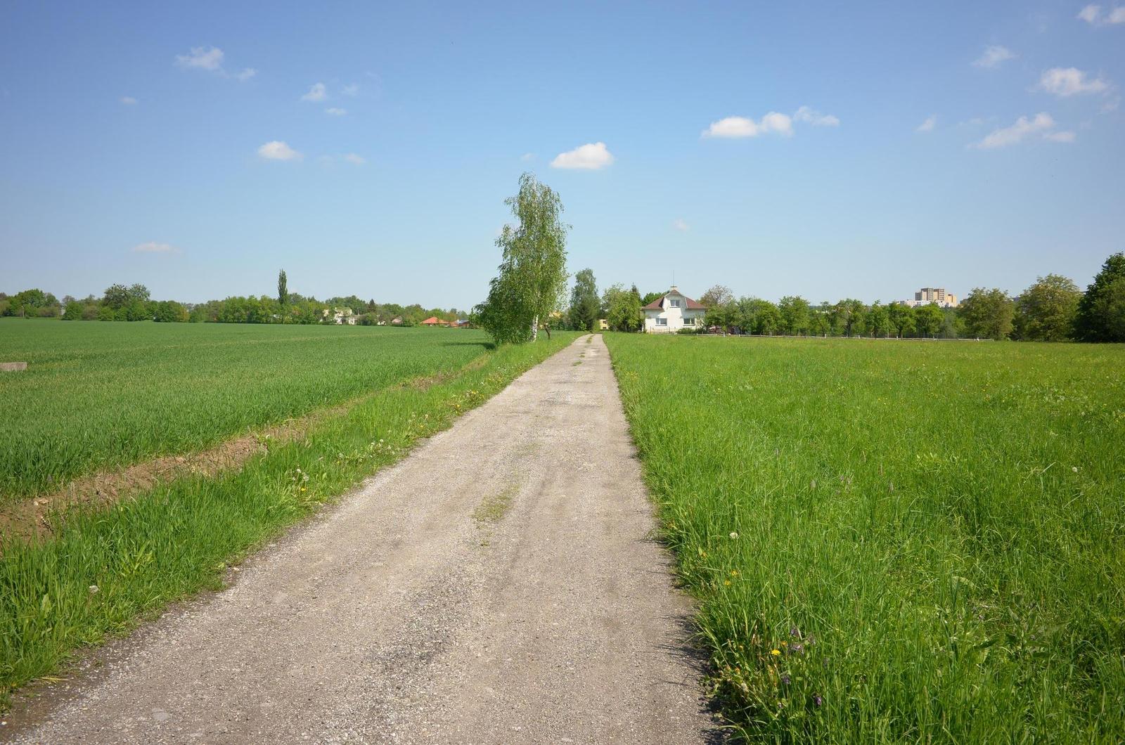 Nikon Coolpix A: velmi příjemná (ne)výraznost