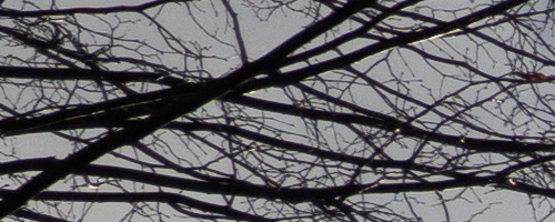 Panasonic Leica DG Vario-Summilux 10-25mm F1.7 ASPH.