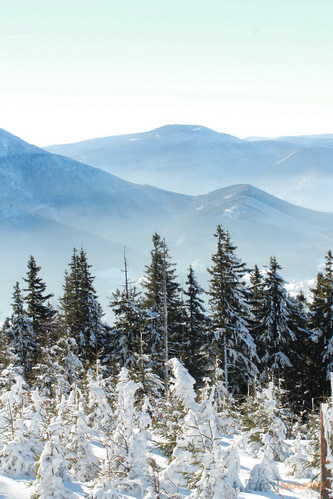 Srovnávací test pevných 50mm objektivů