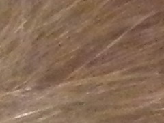 Nikon Coolpix P500: univerzální dalekohled