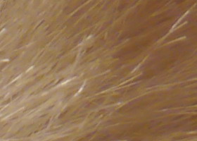 Panasonic Lumix G3: menší a lehčí, je i lepší?