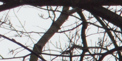 Samsung EX2F: významný krok vpřed