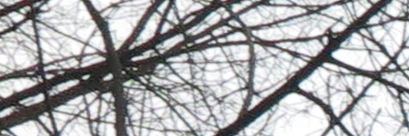 Canon PowerShot G1 X Mark II: významné zlepšení