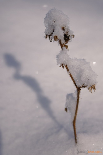 Samsung NX100: "zrcadlovka" do kapsy