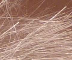 Panasonic Lumix FZ45 a FZ100: na vrcholu