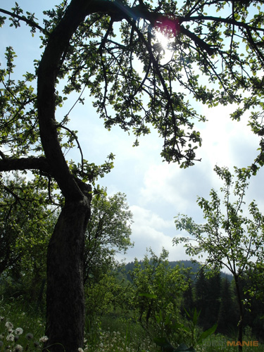 Samsung EX1: příjemné překvapení