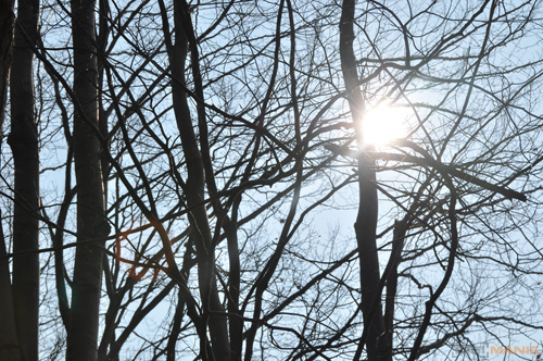 Dva objektivy nebo jeden ultrazoom?