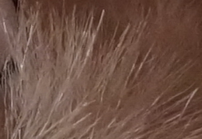 Sony a3000 (ILCE-3000): CSC co nejlevněji