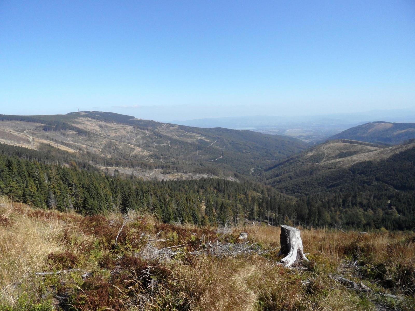 Samsung WB210: dotkněte se 21 milimetrů!