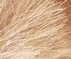 Fujifilm FinePix F300EXR: klame tělem