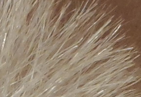 Samsung MV800: pro každý úhel i autoportréty