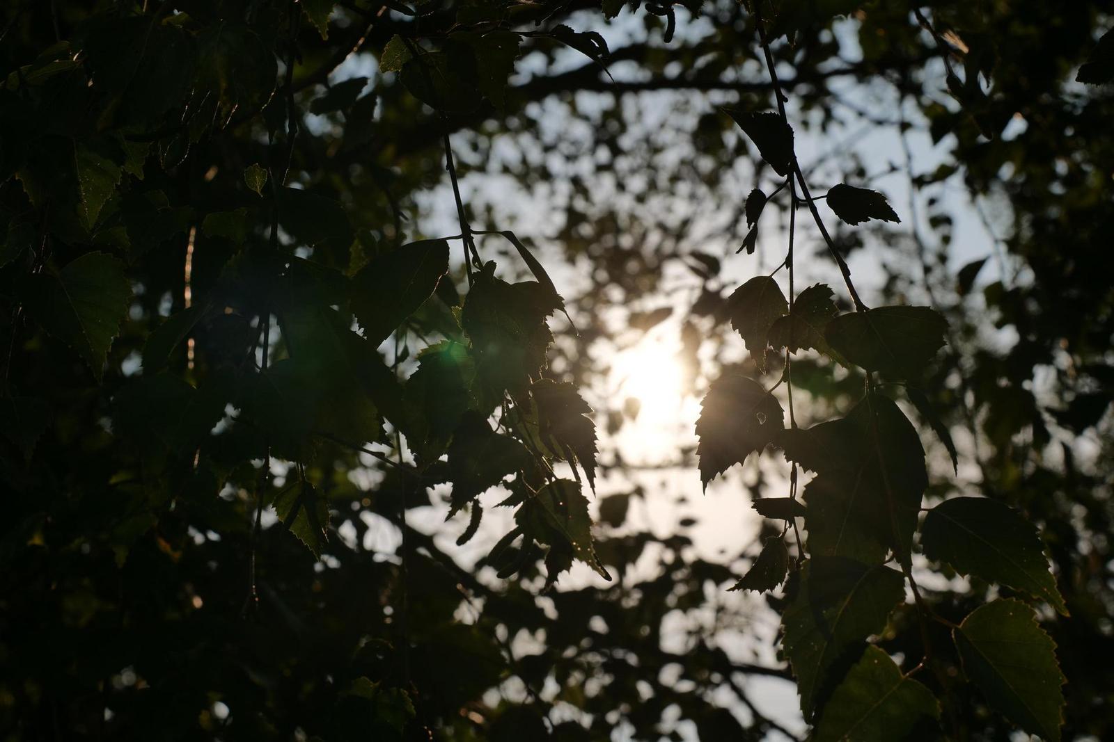 Panasonic Lumix S Pro 70-200mm F4 O.I.S.