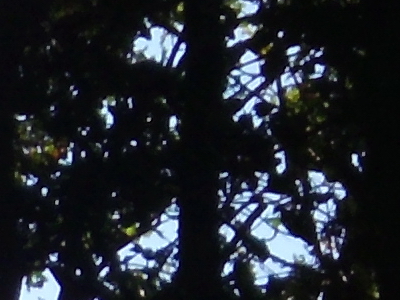 BenQ DC T1260: přítel citlivé peněženky